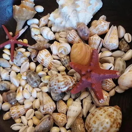 Costa Dei Monaci - Tropea